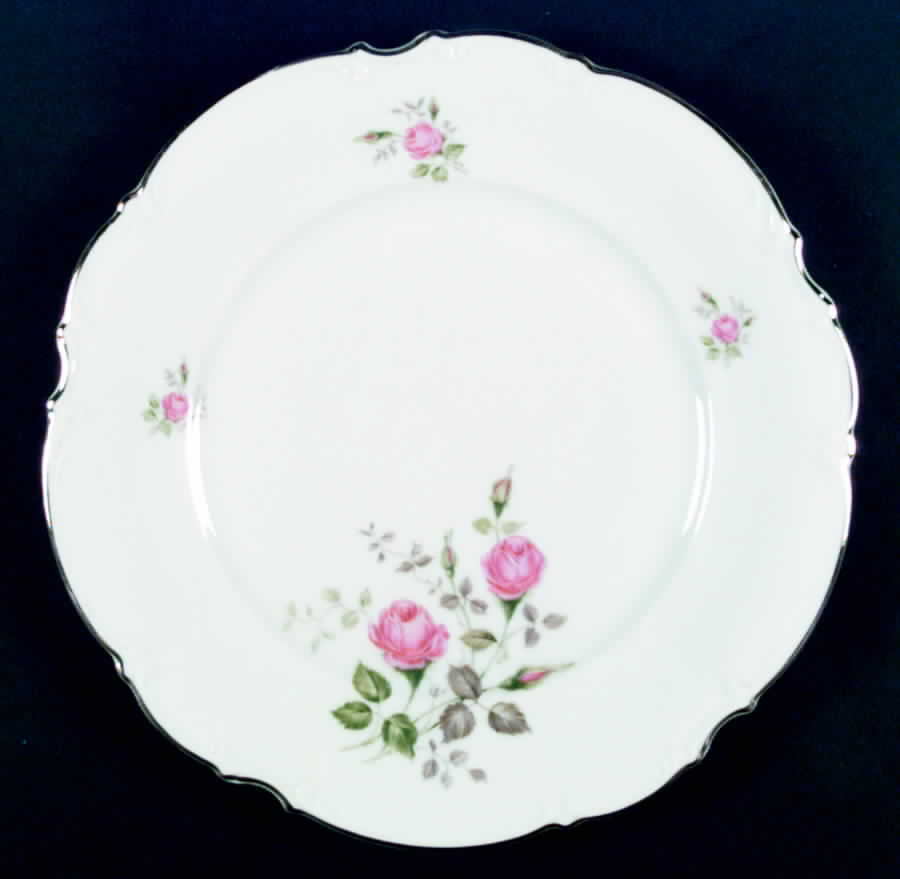 Heirloom Dinner Plate by Saladmaster-1