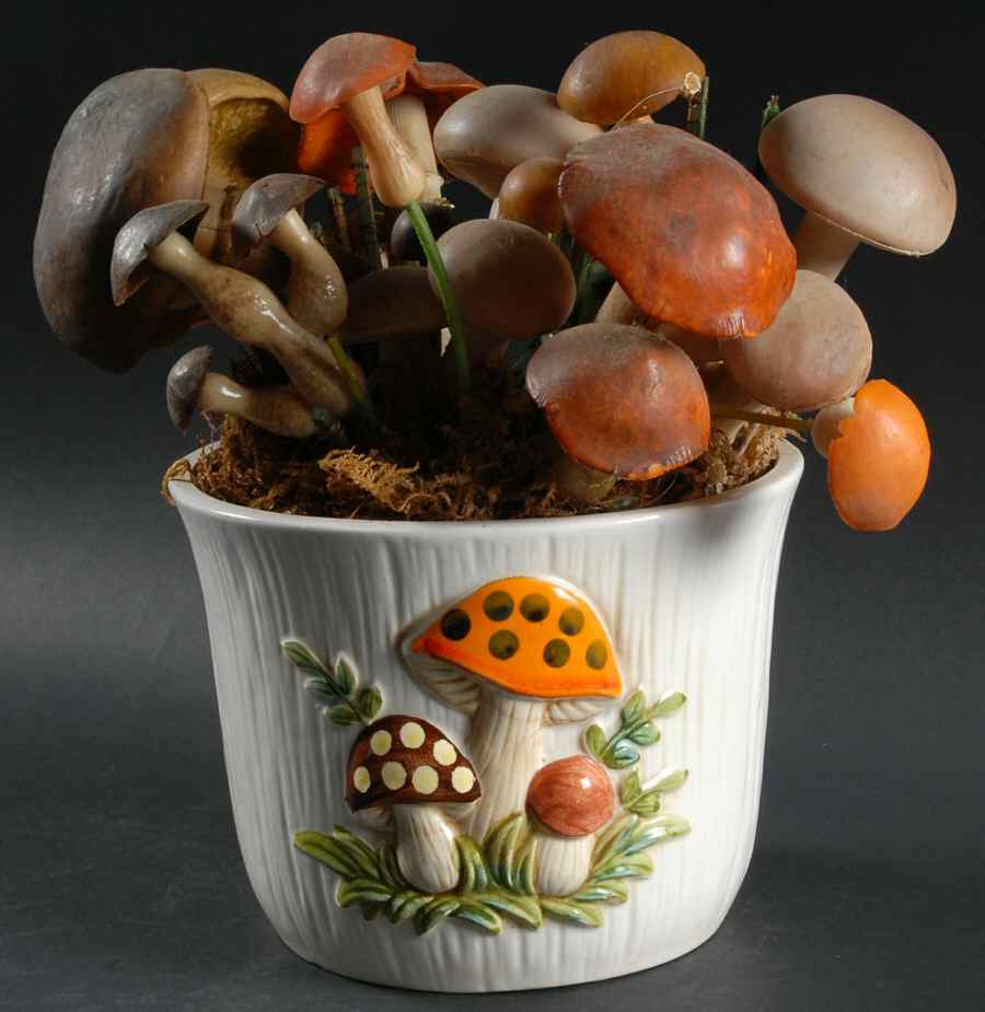 Merry Mushroom 6" Flower Pot No Underplate by Sears-1
