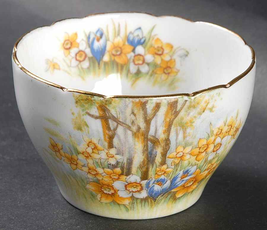Daffodil Time Mini Open Sugar Bowl by Shelley-1