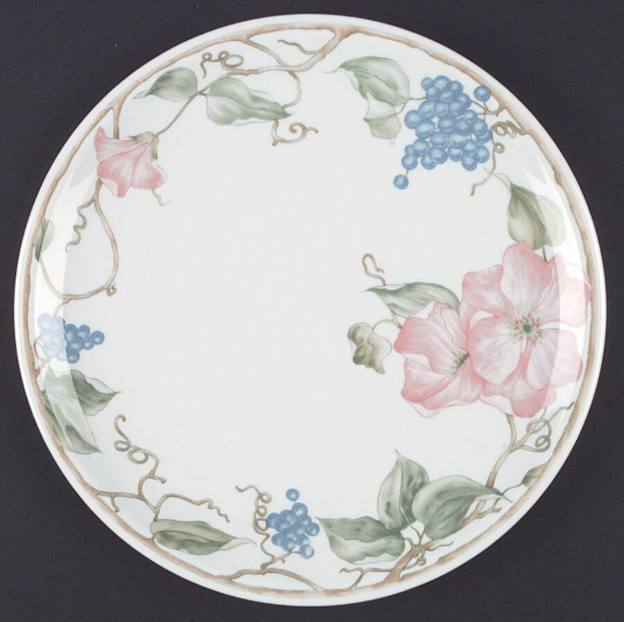 Napa Valley Dinner Plate by Seltmann-1