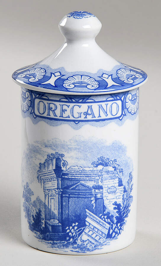 Blue Room Collection Spice Jar Set Individual Jar & Lid by Spode-1