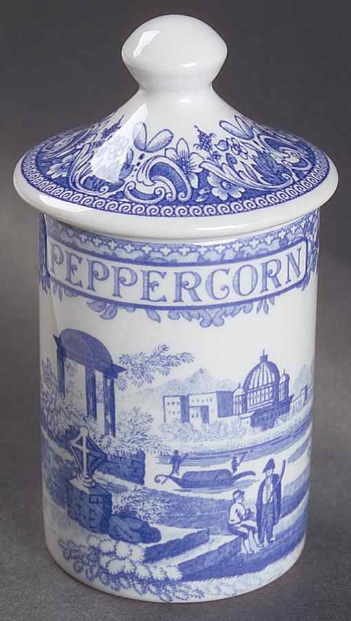 Blue Room Collection Spice Jar Set Individual Jar & Lid by Spode-1
