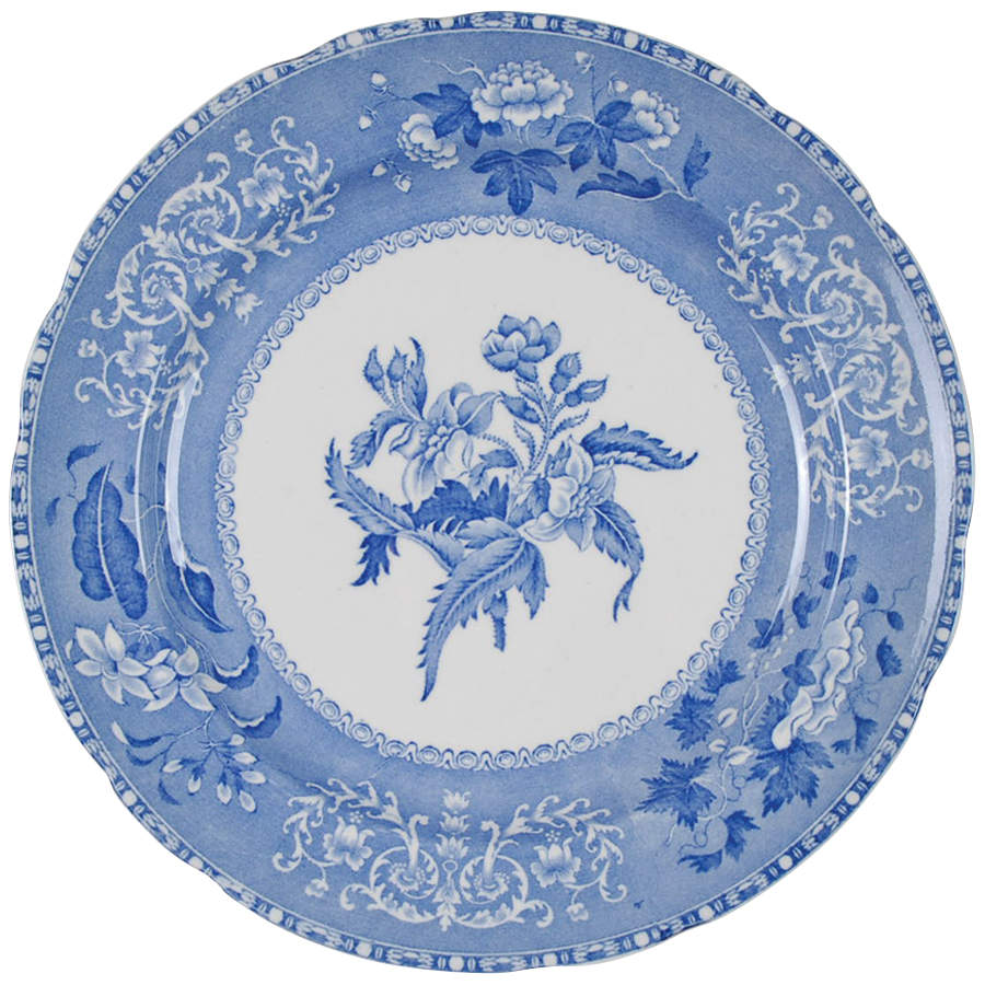 Camilla Blue (Earthenware, Scalloped) Dinner Plate by Spode-1