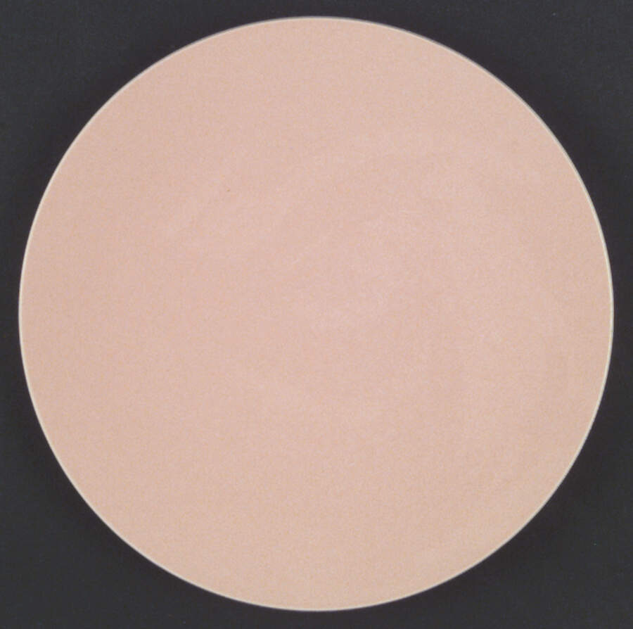 Colorstone Coral (Textured) Dinner Plate by Sasaki-1