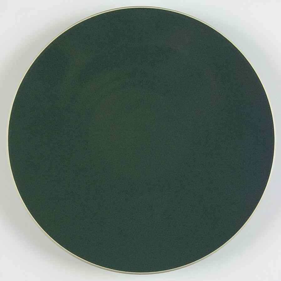 Colorstone Hunter Green (Textured) Dinner Plate by Sasaki-1