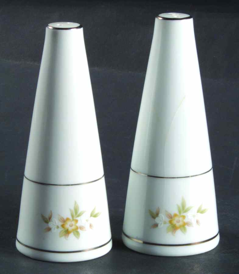Mayfair (Platinum Trim) Salt & Pepper Set by Style House-1