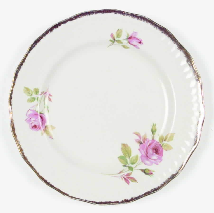 SWI7 Dinner Plate by Swinnertons-1