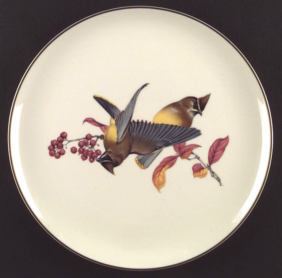 American Song Birds Series Dinner Plate by Syracuse-1