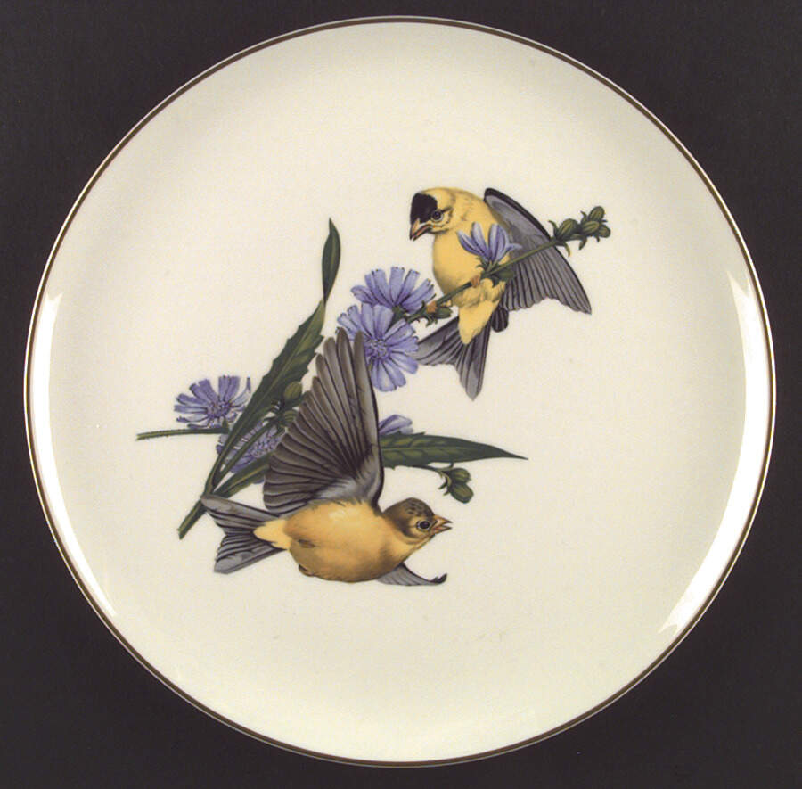 American Song Birds Series Dinner Plate by Syracuse-1