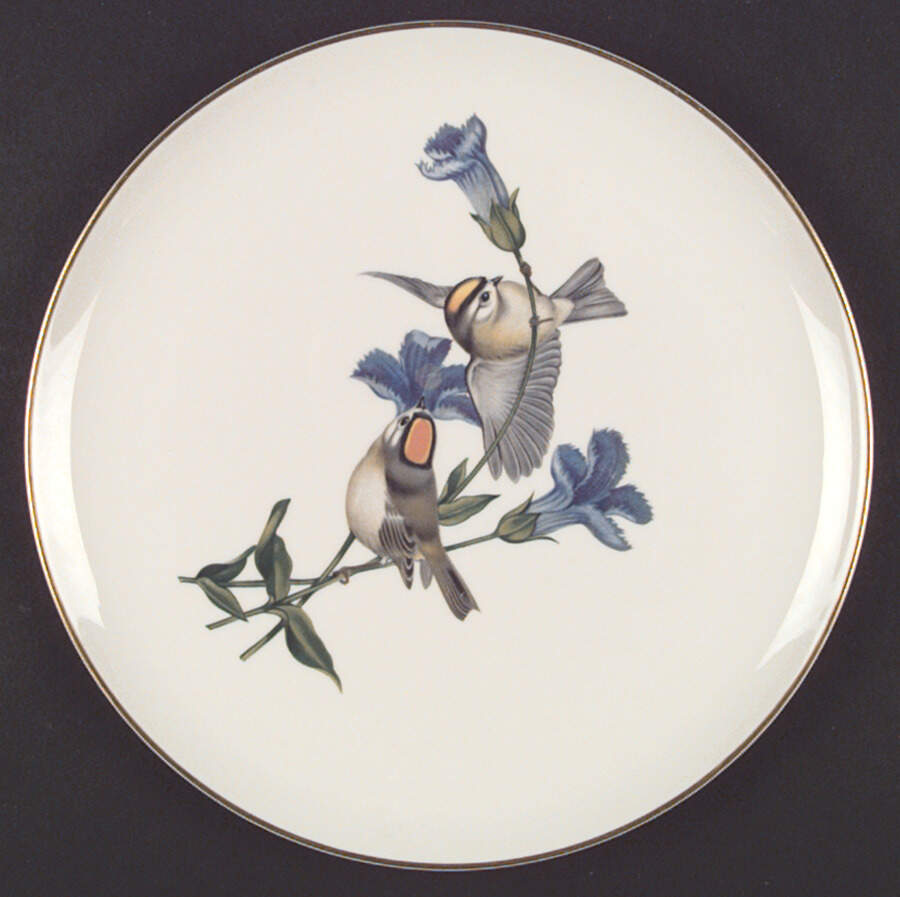 American Song Birds Series Dinner Plate by Syracuse-1
