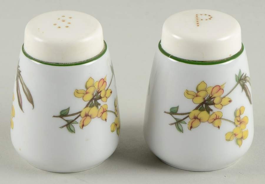 Flora Salt & Pepper Set by Seltmann-1