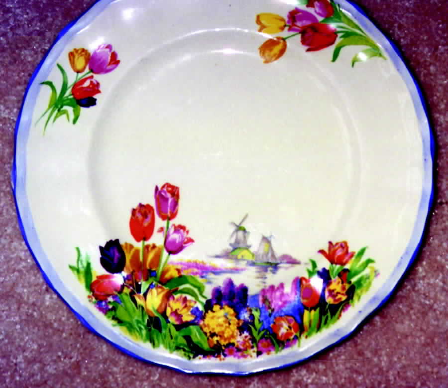 Holland Scenes Salad Plate by Swinnertons-1