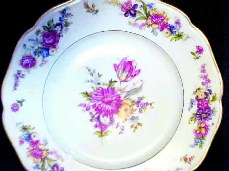 HCZ237 Luncheon Plate by Haas-Czjzek Coronado-1