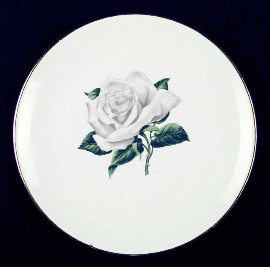 SAB47 Dinner Plate by Sabin-1
