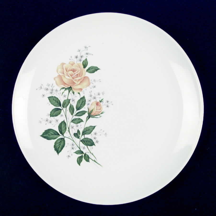 SAB49 Dinner Plate by Sabin-1