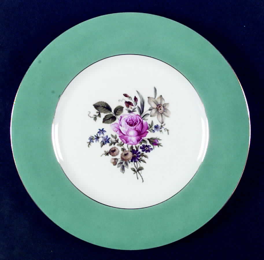 HCZ239 Green Dinner Plate by Haas-Czjzek Coronado-1