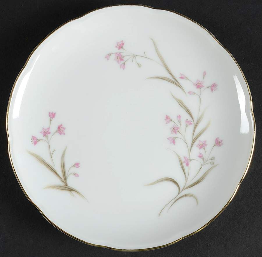 Carolina Bread & Butter Plate by Symco-1