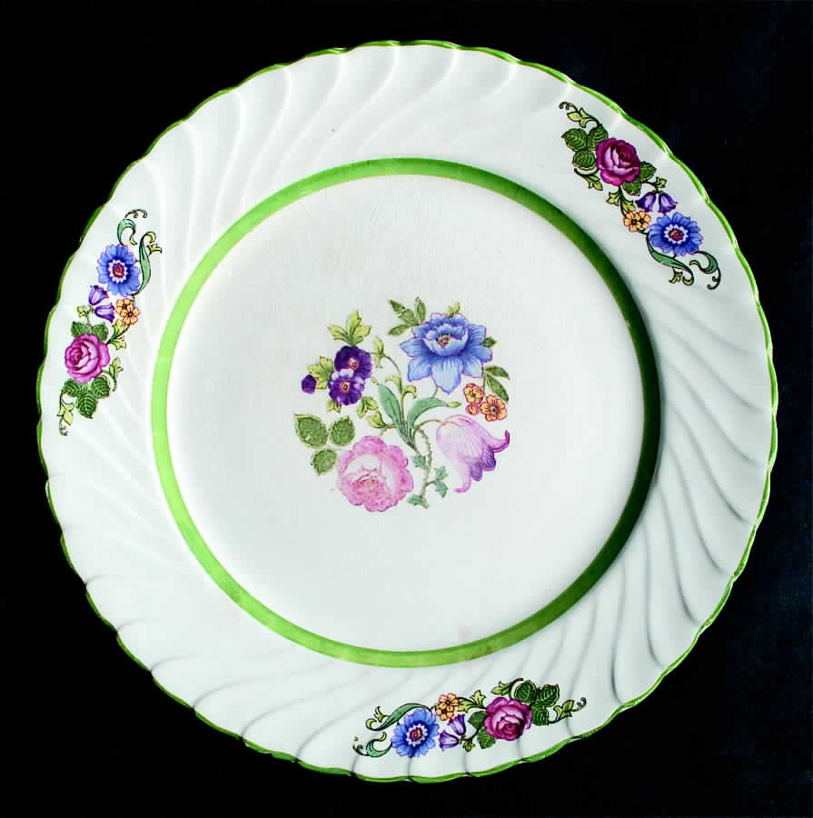SWI34 Dinner Plate by Swinnertons-1