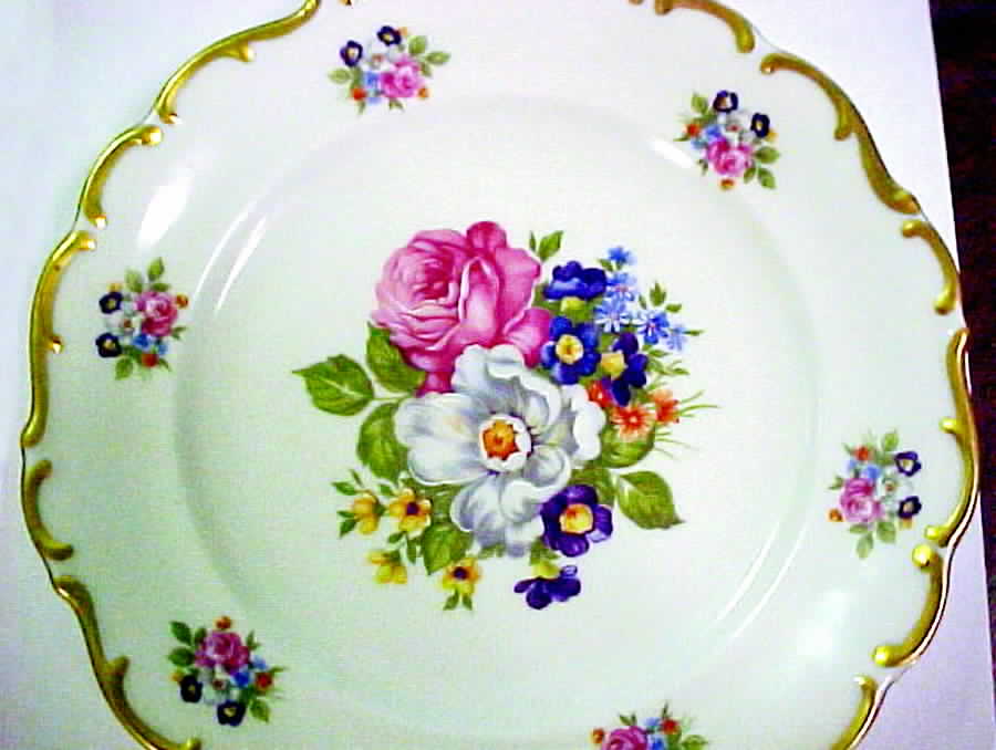 SWU1 Dinner Plate by Schaller Wiesau-1