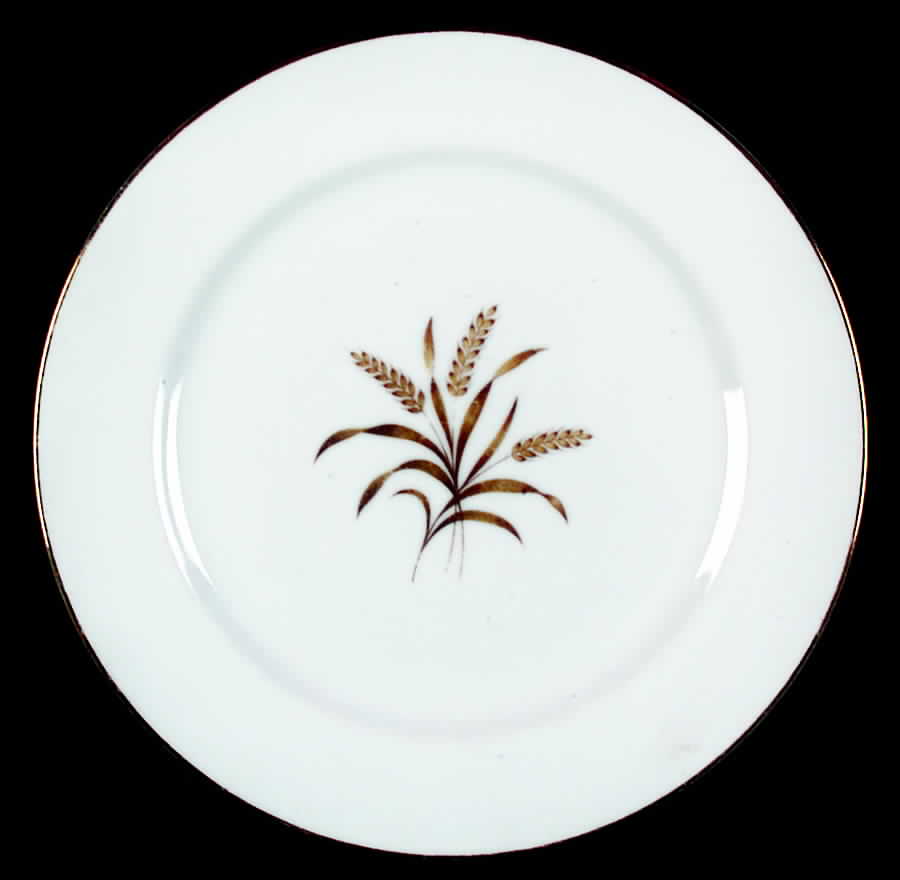SAB25 (WHITE) Dinner Plate by Sabin-1