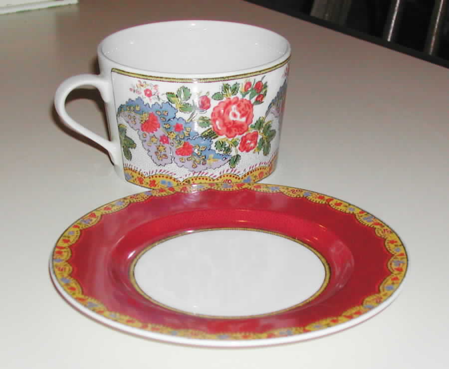 Saint Remy Flat Cup & Saucer Set by Solafrance-1