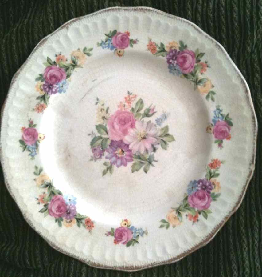 SWI139 Dinner Plate by Swinnertons-1