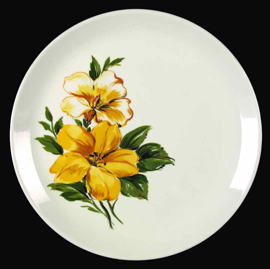 SLM266 Dinner Plate by Salem-1