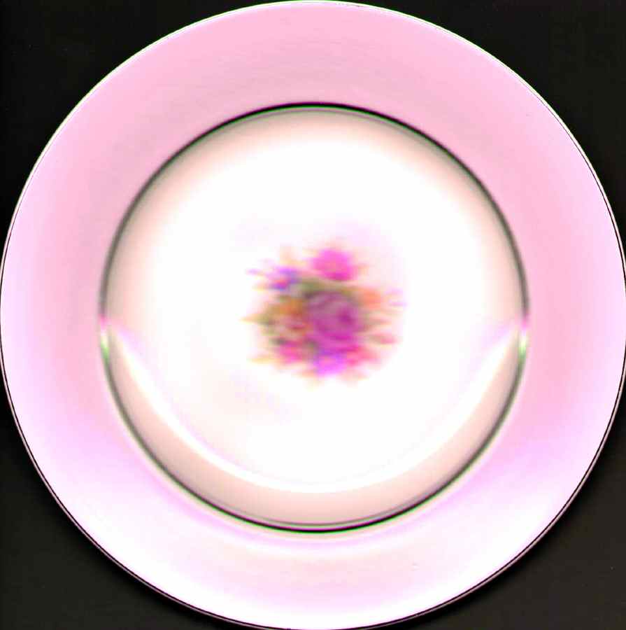 SWI145 Dinner Plate by Swinnertons-1