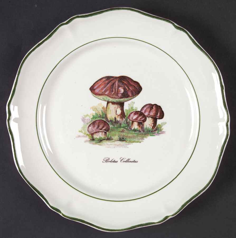 Sdq1 Salad Plate by St Amand-1