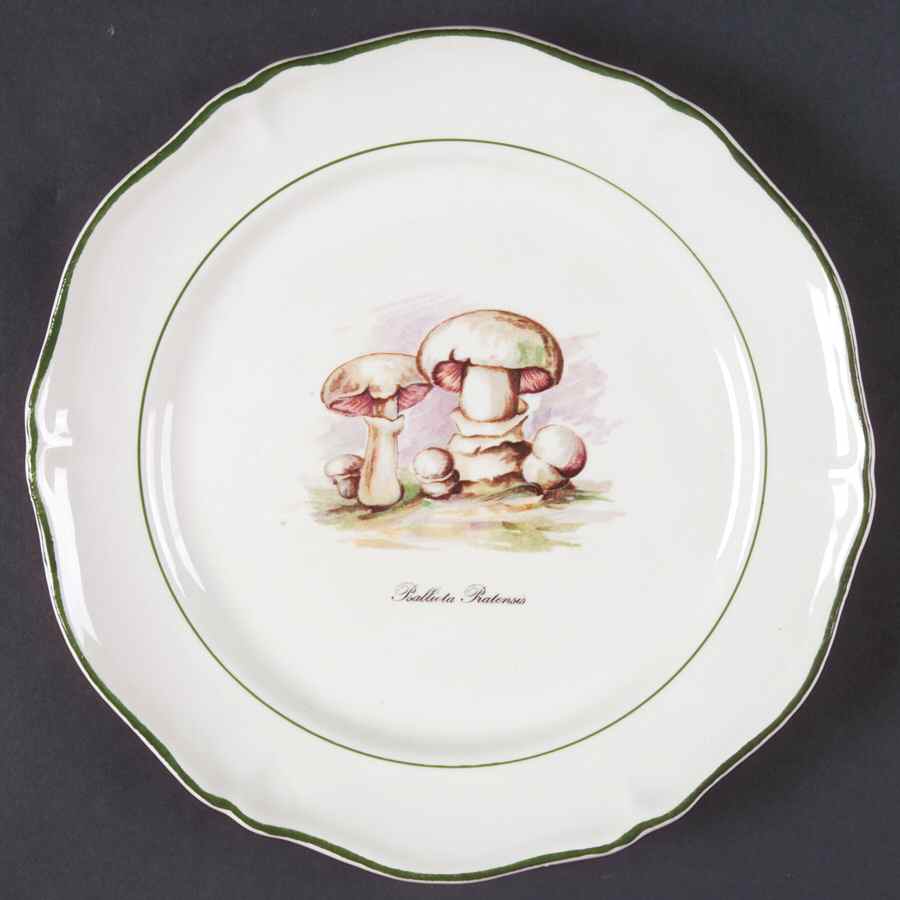 Sdq1 Salad Plate by St Amand-1