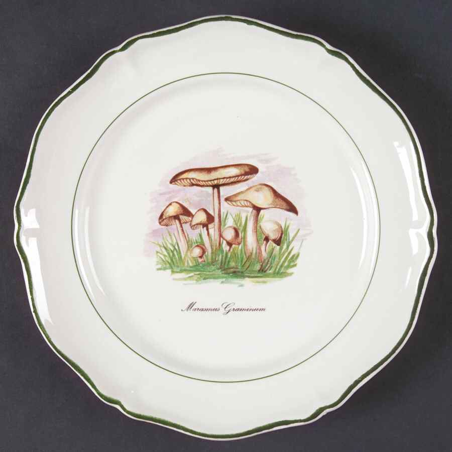 Sdq1 Salad Plate by St Amand-1