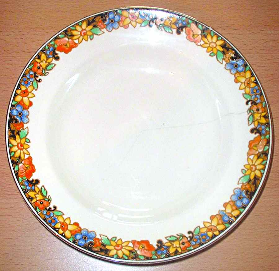SWI149 Dinner Plate by Swinnertons-1