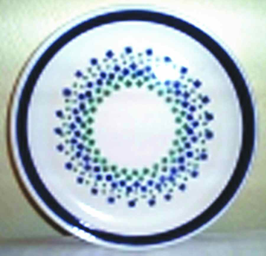 SNS2 Dinner Plate by Santa Anita Stonewar-1