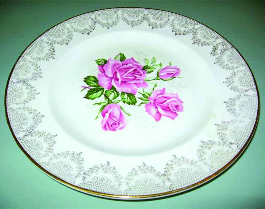SWI102 Dinner Plate by Swinnertons-1