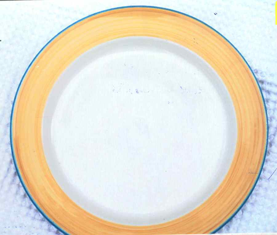 Rio Dinner Plate by Steelite-1