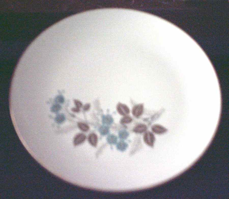 SAB89 Dinner Plate by Sabin-1