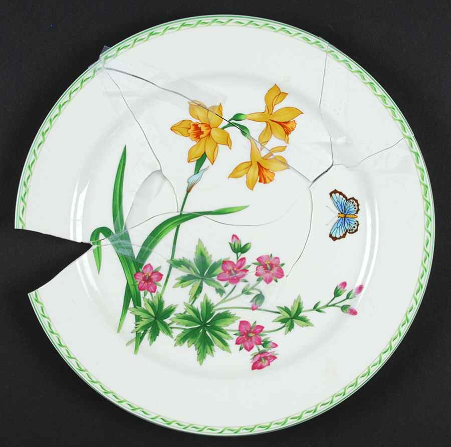 STJ1 Dinner Plate by Saint James-1