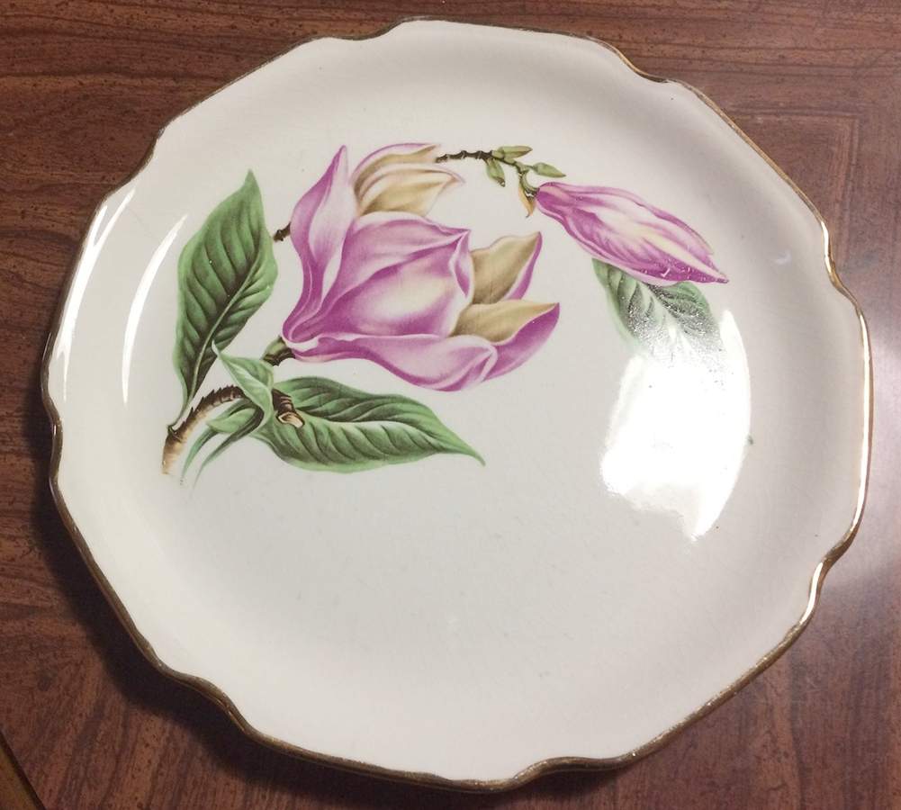 SAB106 Dinner Plate by Sabin-1