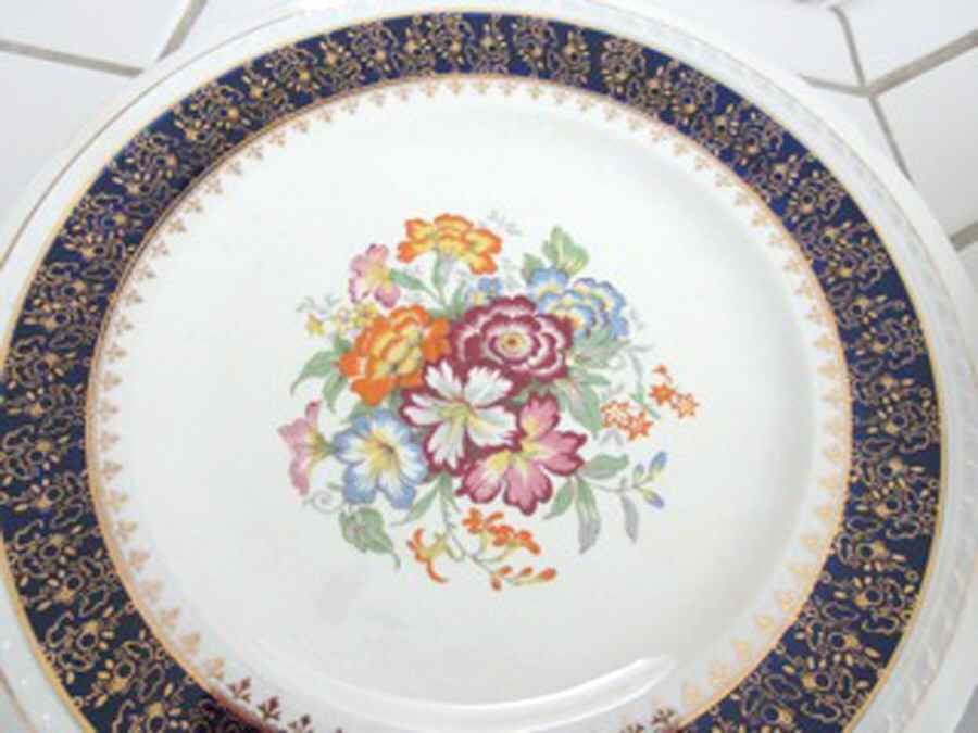 SWI166 Dinner Plate by Swinnertons-1