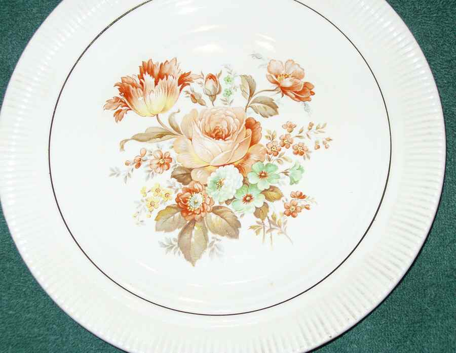 SLM362 Dinner Plate by Salem-1