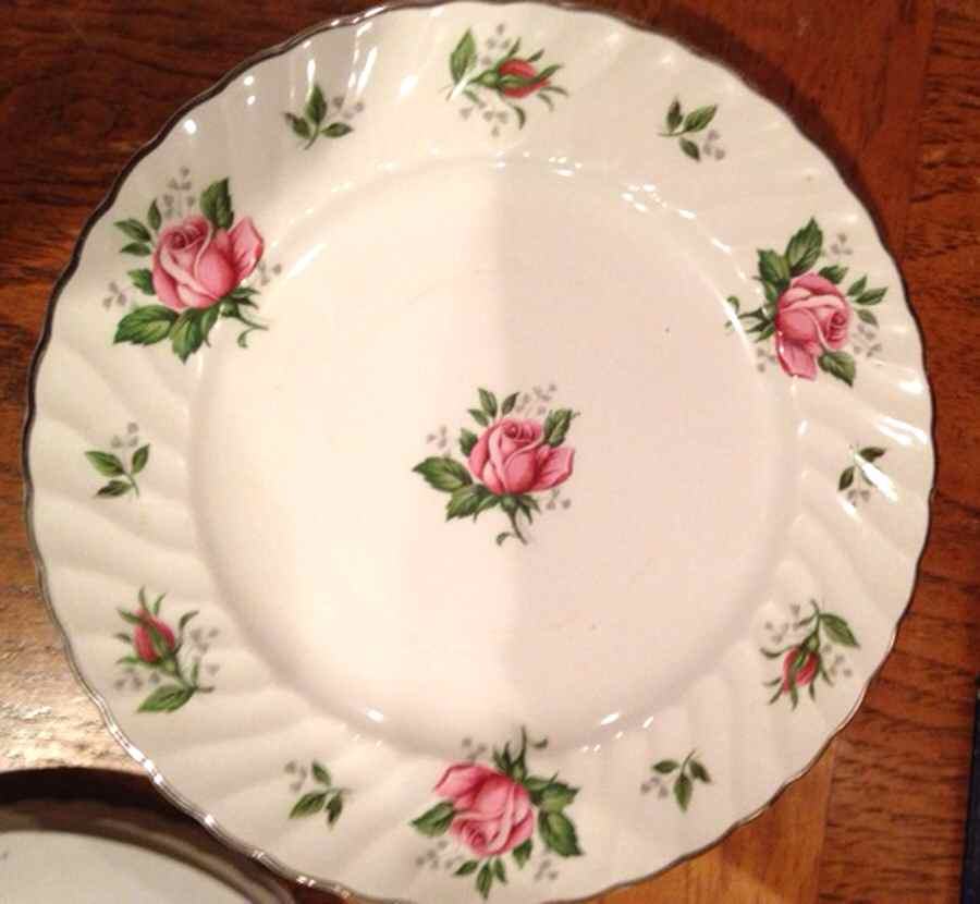 SWI169 Dinner Plate by Swinnertons-1