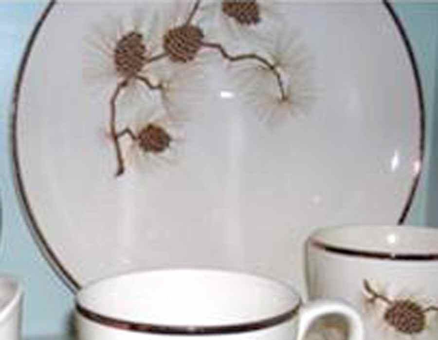 SLM395 Dinner Plate by Salem-1