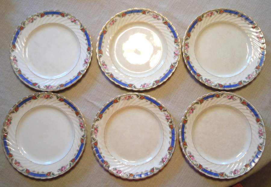 SWI173 Dinner Plate by Swinnertons-1