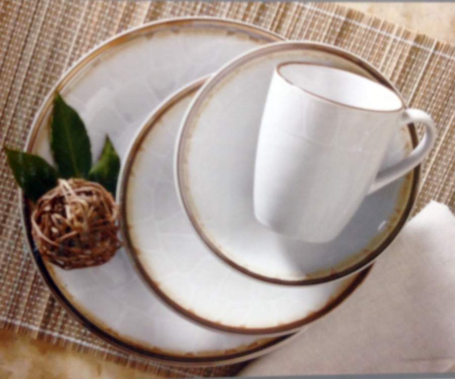 Tortoise Dinner Plate by Style & Home-1