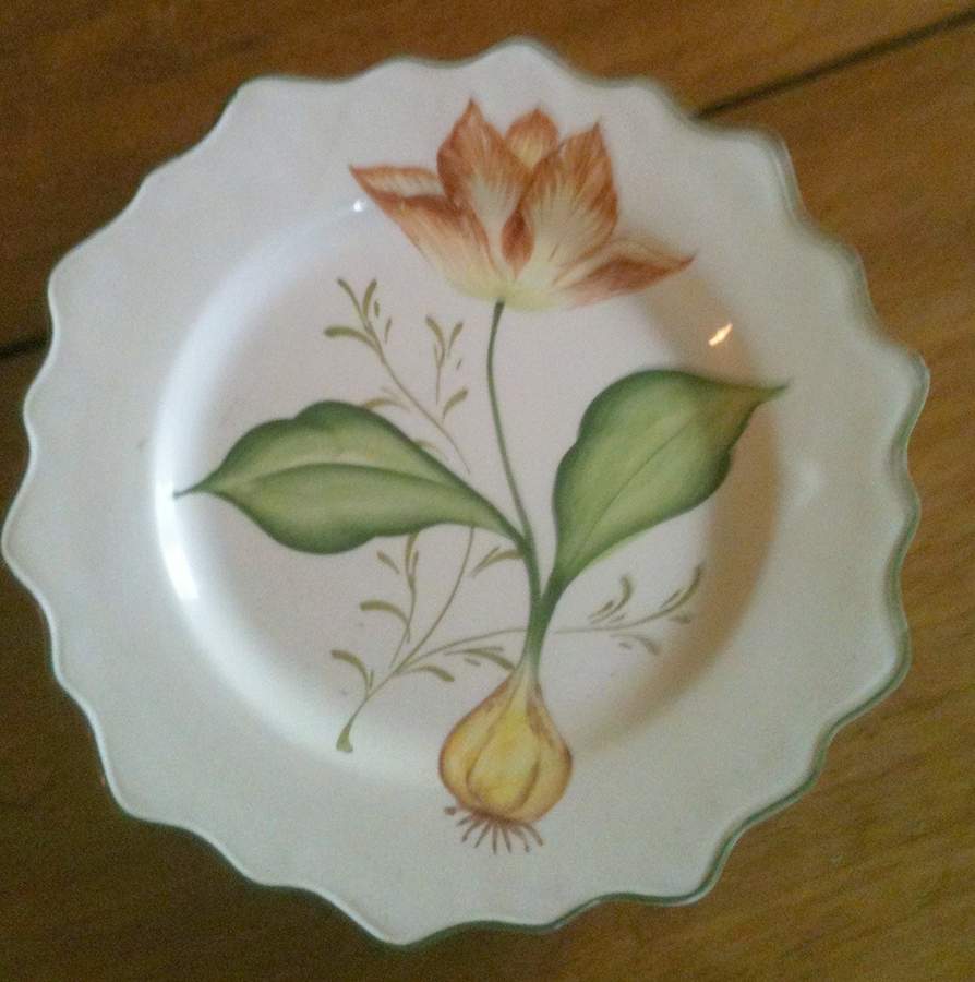 SMG17 Dinner Plate by San Marco-1