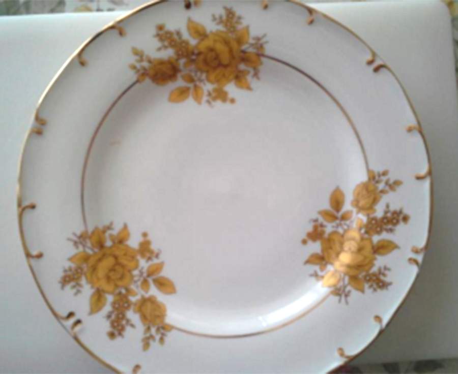 SZE8 Dinner Plate by Sorelle-1