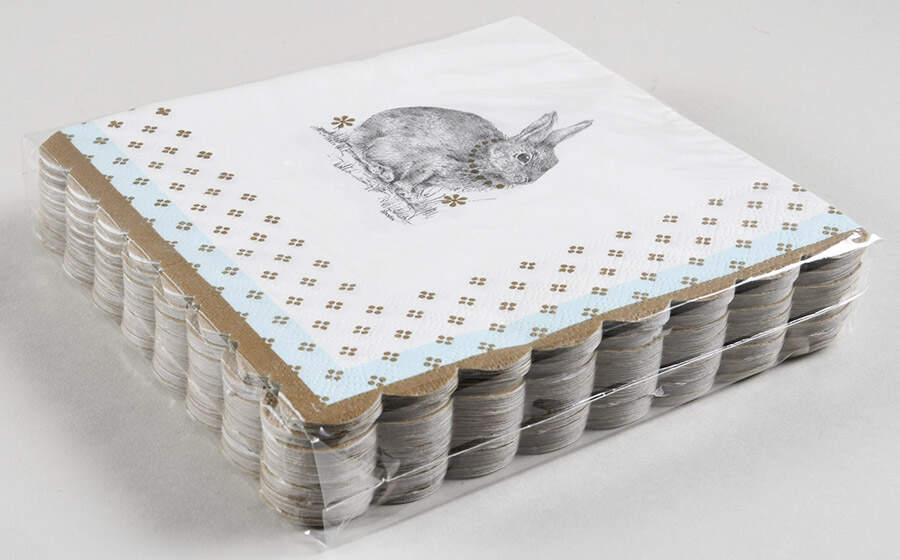 Meadow Lane Package of Paper Luncheon Napkins by Spode-1