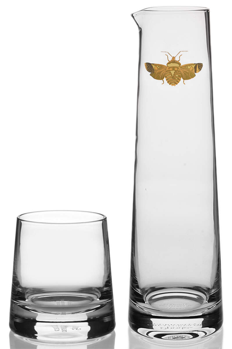 Creatures of Curiosity Glassware 2 Piece Nite Set (Carafe and Tumbler) by Spode-1
