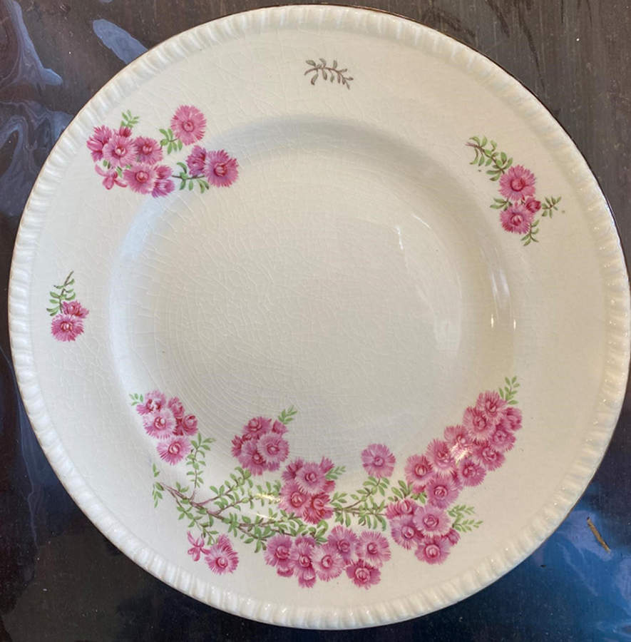 SWI181 Dinner Plate by Swinnertons-1