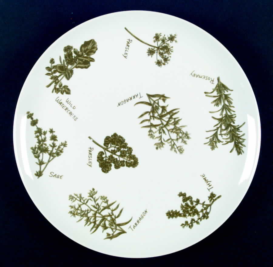 Herb Garden Dinner Plate by Taste Setter-1